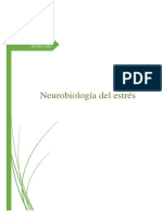 Ensayo Sobre La Neurobiología Del Estres