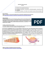 CIENCIAS 7º A B - Compressed