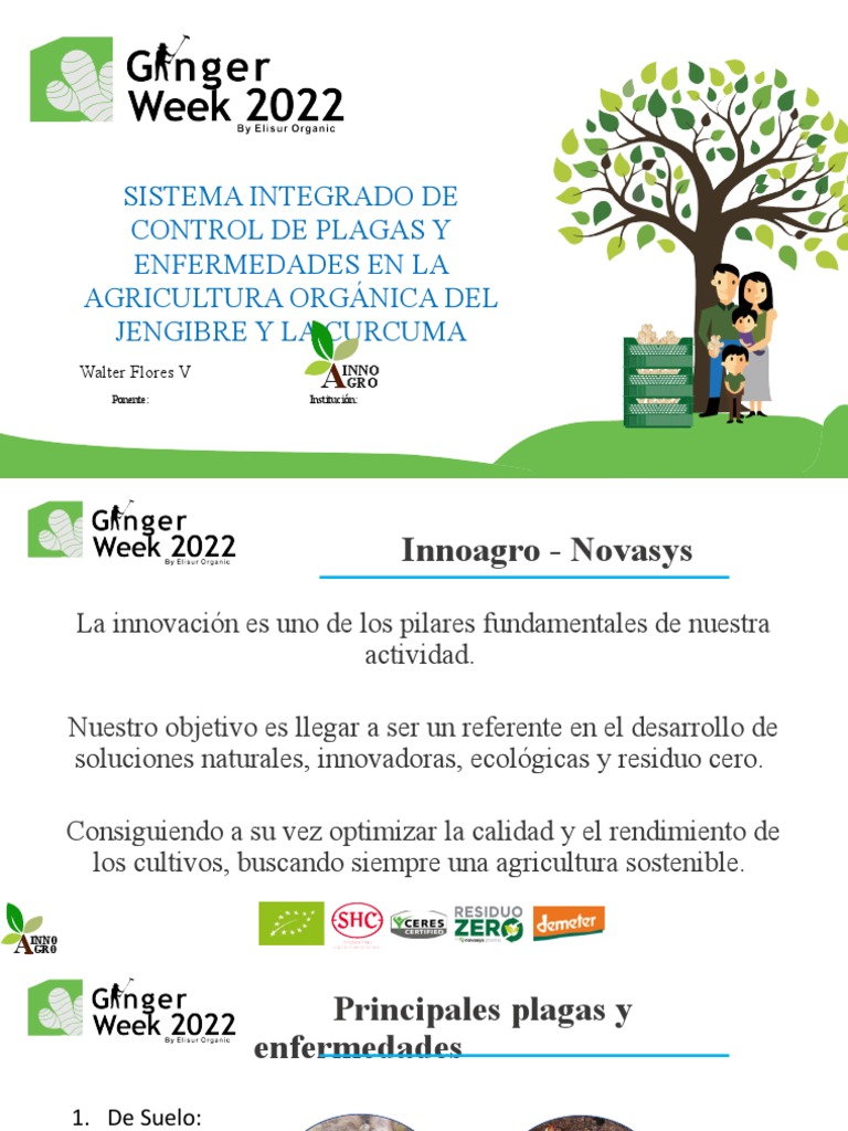 Oficial Ginger Week 2022 | PDF