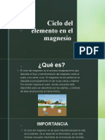 Reacción de las plantas ante la deficiencia de MAGNESIO