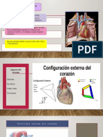 El Corazón