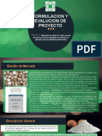 Formulacion y Evalucion de Proyecto