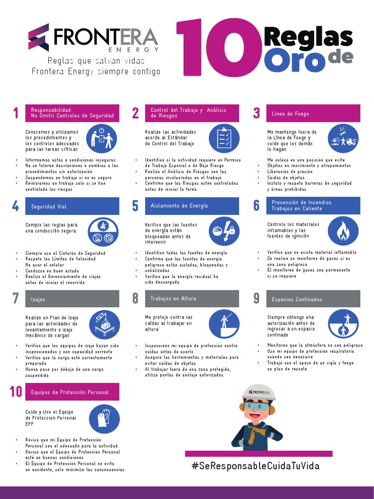 10 Reglas de Oro para la Seguridad | PDF