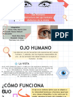 Ojo Humano