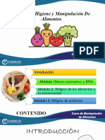 Curso Manipulacion de Alimentos