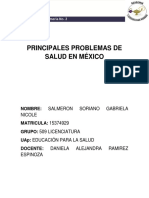 Principales Problemas de Salud en México