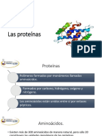 Proteínas y Enzimas