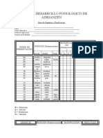 Prueba de Desarrollo Fonológico de Adrianzén