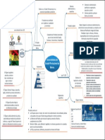 Mapa-Mental-Politicas-publicas-Bolivia