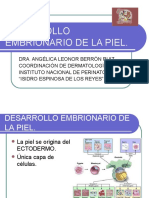 Desarrollo Embrionario de La Piel