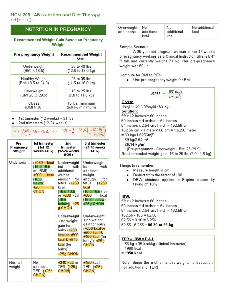 NDT Lab PDF Body Mass Index Pregnancy