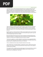 Artwell Mazvaramhaka-Kiwifruit Vine Disease (Goegraphy Research)