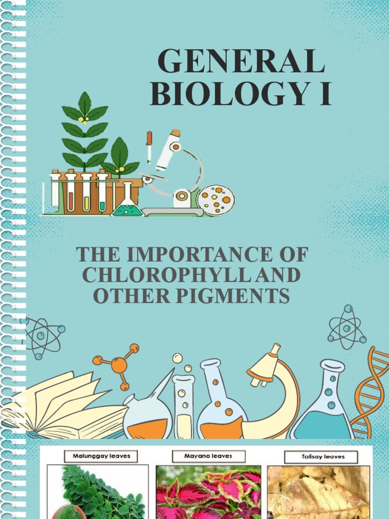 Chlorophyll and Pigments | PDF