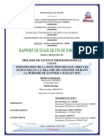 Rapport AMADOU Hamrouche - Compressed