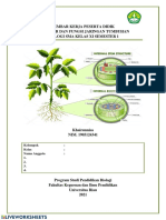 Lembar Kerja Peserta Didik Struktur Dan Fungsi Jaringan Tumbuhan Biologi Sma Kelas Xi Semester 1