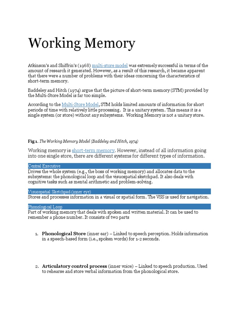 Baddeley and Hitch's Working Memory Model | PDF | Working Memory | Memory