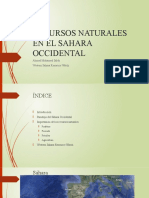 RECURSOS NATURALES EN EL SAHARA OCCIDENTAL (1) (1) (1)(1)