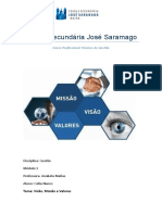 Módulo 1 Visão, Missão e Valores