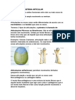 Sistema Articular