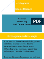 Heredograma explica padrões de herança genética