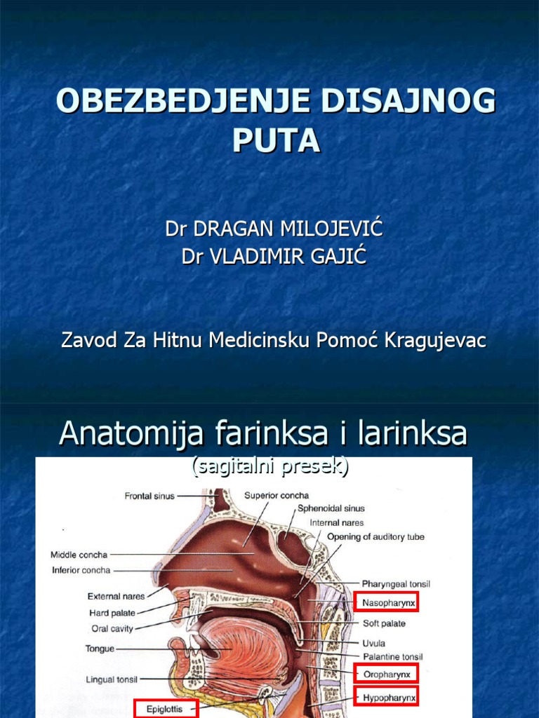 4-Disajni Put Za Prezentaciju | PDF