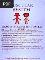 Chapter 7 - Muscular System