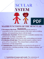 Chapter 7 - Muscular System