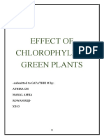 Chlorophyll Bio Project