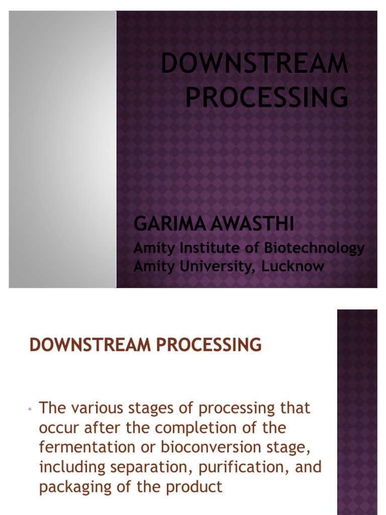Downstream Processing Overview | PDF
