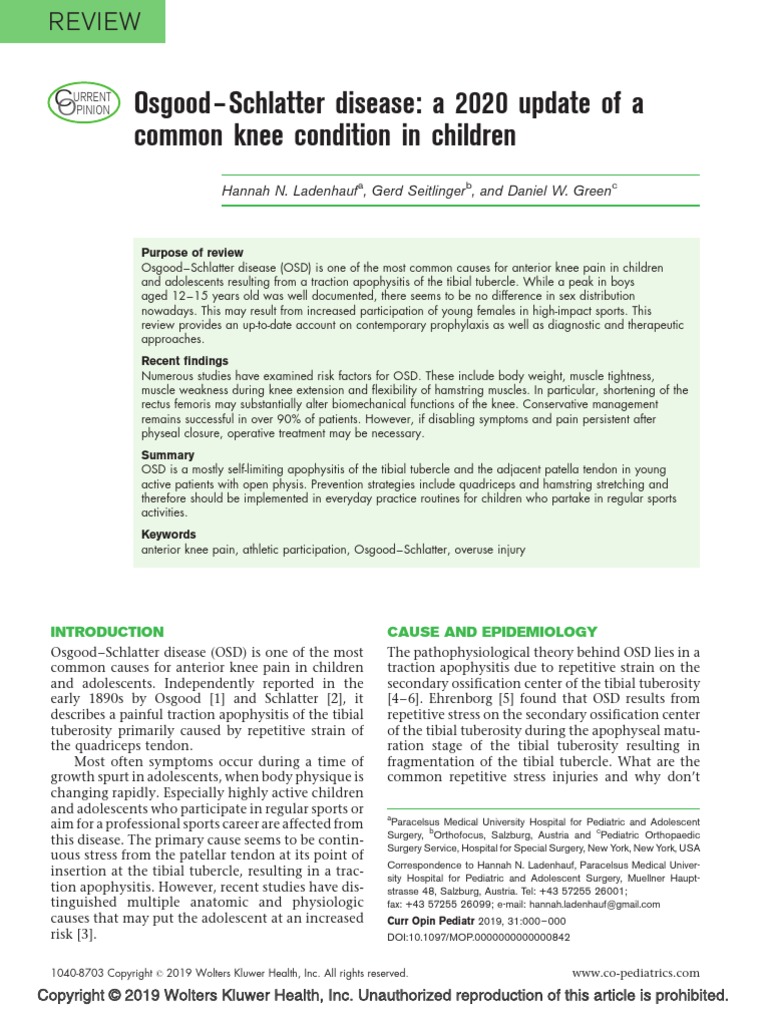 L Osgood-Schlatter Disease: A 2020 Update of A Common Knee Condition in ...