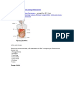 Download Sistem Pencernaan Makanan Pada Manusia by Offie N Sofiyati Fa SN61020149 doc pdf