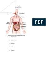 What Is Function of The Following Organs Below A) Large Intestine