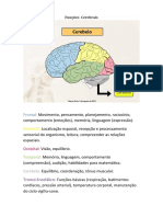 Funções do cérebro: regiões e papéis