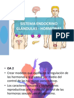 Sistema Endocrino Glándulas - Hormonas