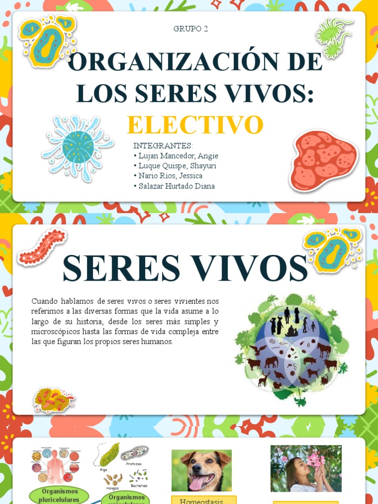 Organización de Los Seres Vivos | Descargar gratis PDF | Biología ...
