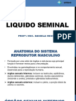 Liquido Seminal