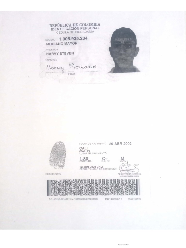 Documento de Identidad PDF