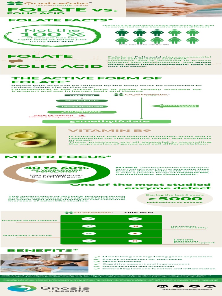 Infographic Folic Acid Vs Folate PDF Biology Biochemistry