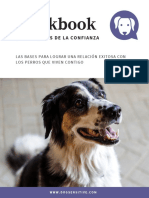 Dog Sensitive: Workbook 6 - Pilares de La Confianza
