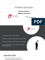 S14.s1 - Sistema Urinario Organos y Funciones