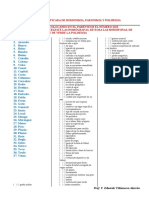 Prática Calificada de Homonimia, Polisemia y Paronimia