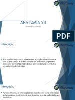 07 Anatomia Vii