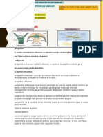 Sesión N 11 El Proceso Digestivo en Los Animales