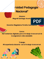 Mi Experiencia Docente Con El Trabajo Transversal y Collage