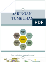 JARINGAN TUMBUHAN PPTX