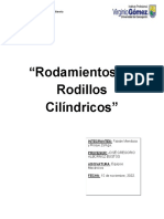 Rodamientos de Rodillos Cilíndricos