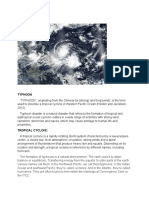 Understanding Typhoons: Causes, Effects and Preparations