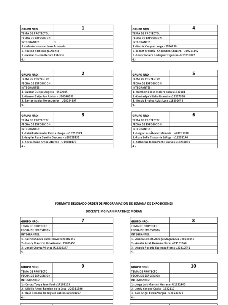 Formato de Delegados Exposicion | PDF