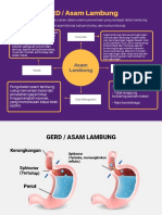 Mind Map GERD/Asam Lambung