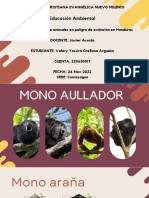 Animales en Peligro de Extincion